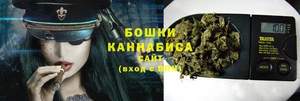 шишки Баксан