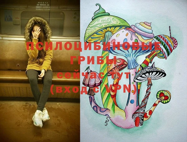 шишки Баксан