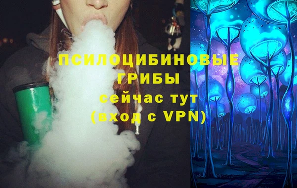 шишки Баксан