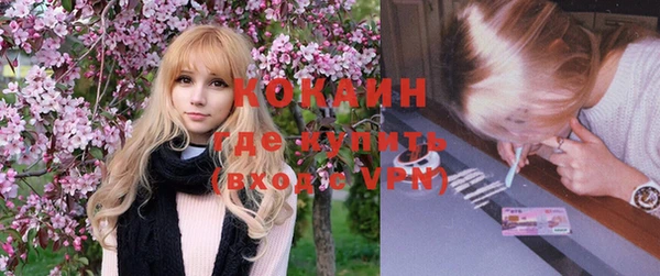 шишки Баксан