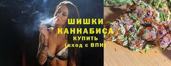 шишки Баксан