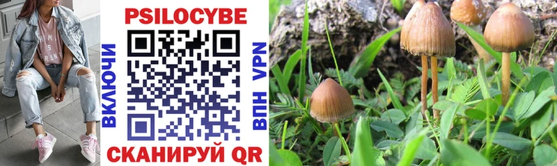 Галлюциногенные грибы Psilocybine cubensis  Нижняя Тура 